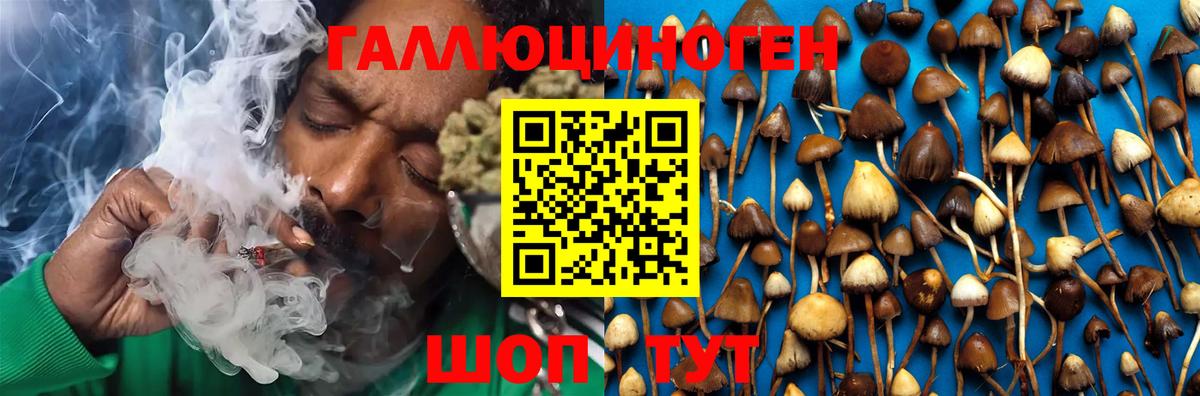 Псилоцибиновые грибы Psilocybine cubensis  Вход с VPN  Псилоцибиновые грибы ЛСД  Кировск 